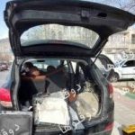 تعمیر سیم‌ کشی خودروهای نایاب